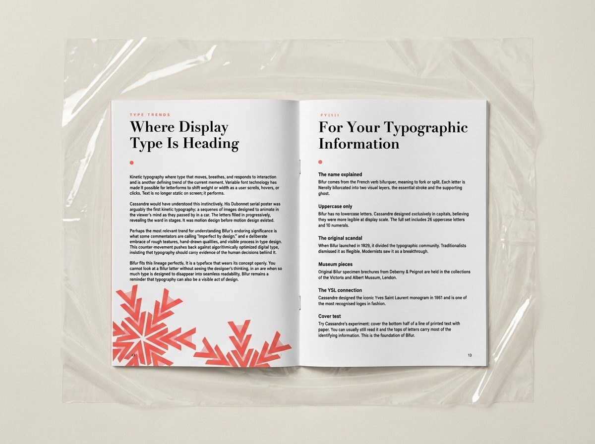 BIFUR zine spread in plastic wrap